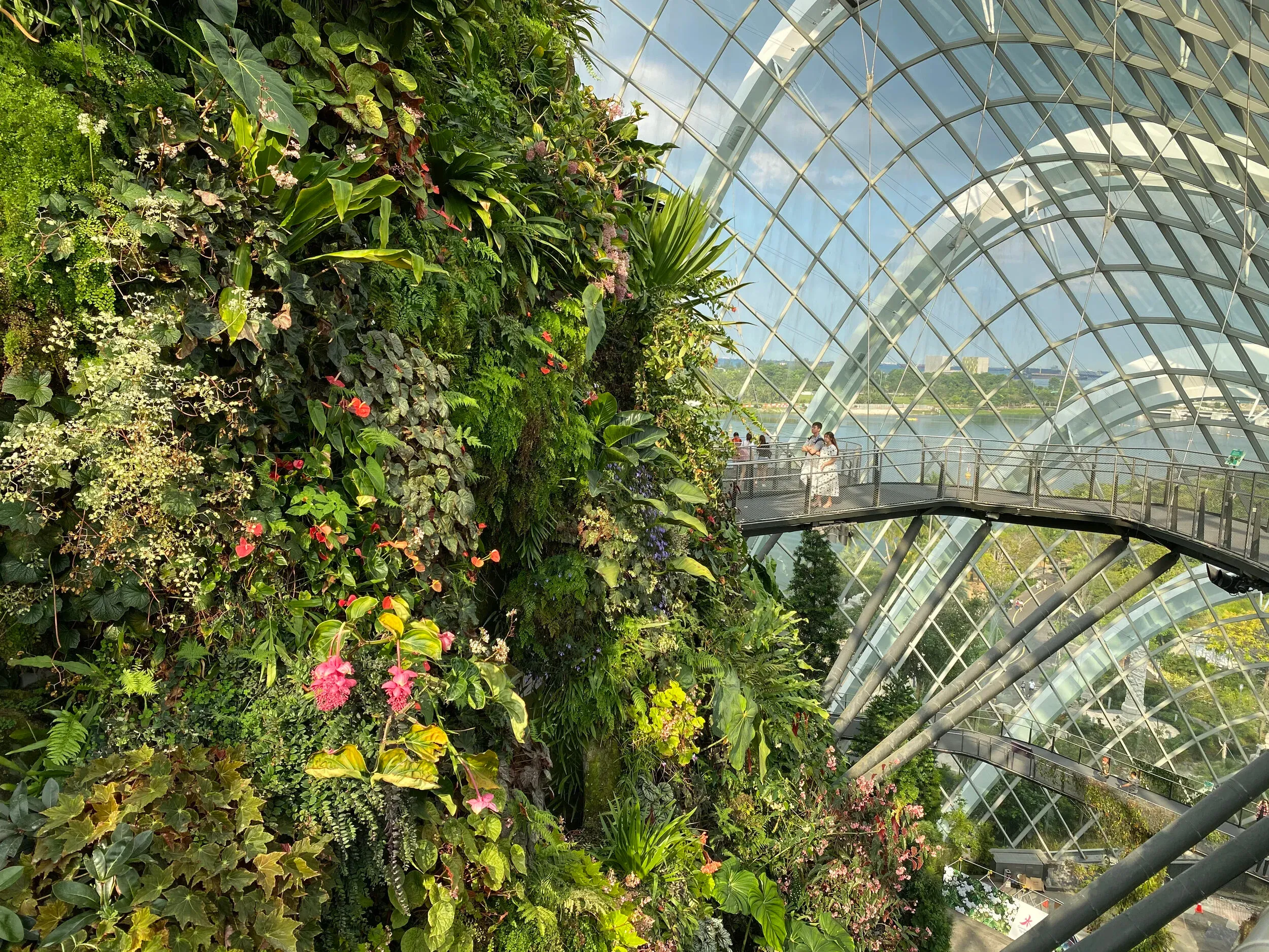 Gardens by the bay.