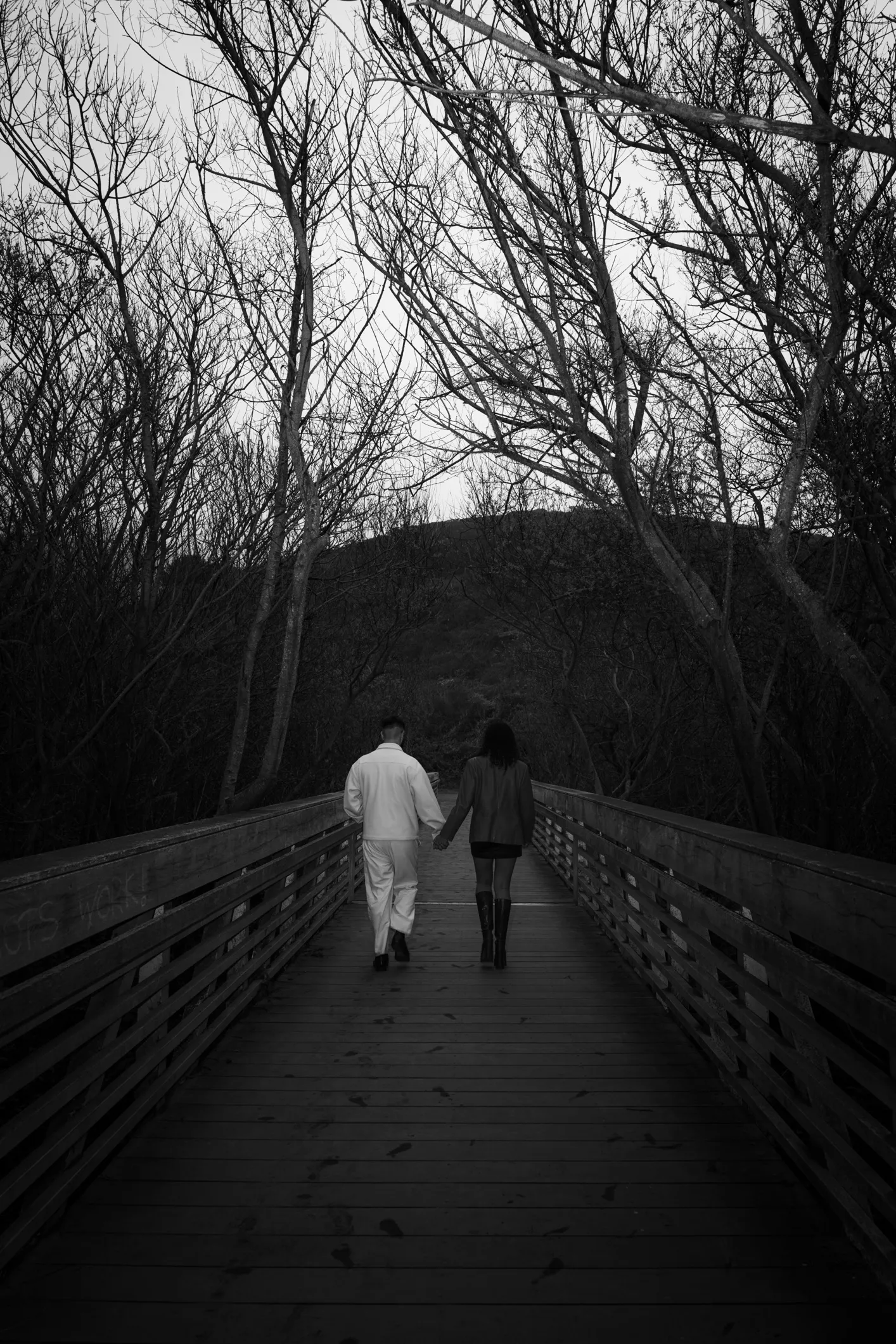 Ellen + Ike gallery image 4