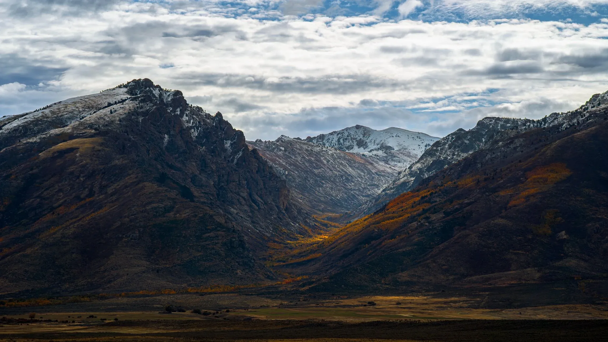 Open desert ridge with long, low evening shadows.